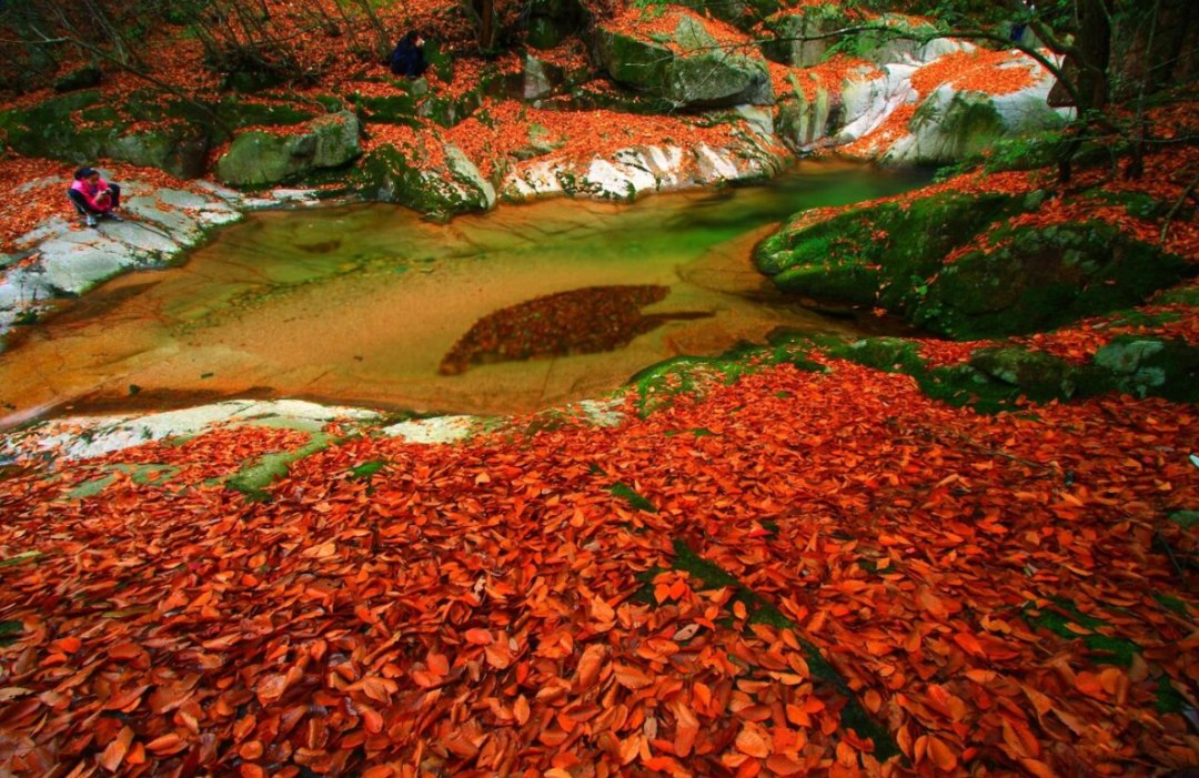郑梁担任主, 天然长城 郑梁担任主, 天然长城