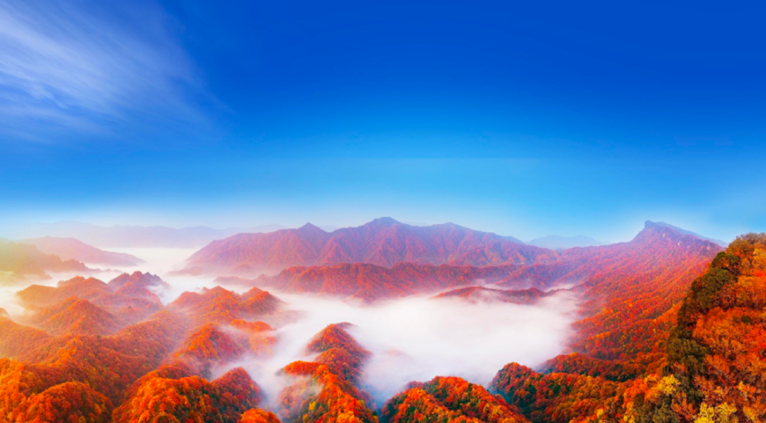 陕苏区首府 陕苏区首府