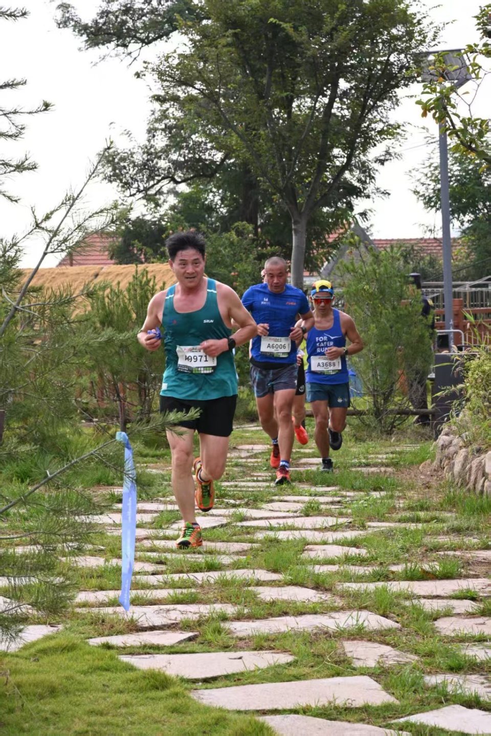 选手们跑得, 茶谷里 选手们跑得, 茶谷里